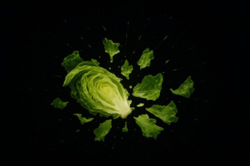 Frisk Salatexplosion på Sort Baggrund - Oplev livskraften i naturens skønhed med denne fantastiske fremstilling af en salat, der eksploderer i farver. De grønne blade svæver med energi og skaber en dramatisk kontrast til den sorte baggrund, hvilket gør det til et perfekt fokuspunkt i dit hjem.